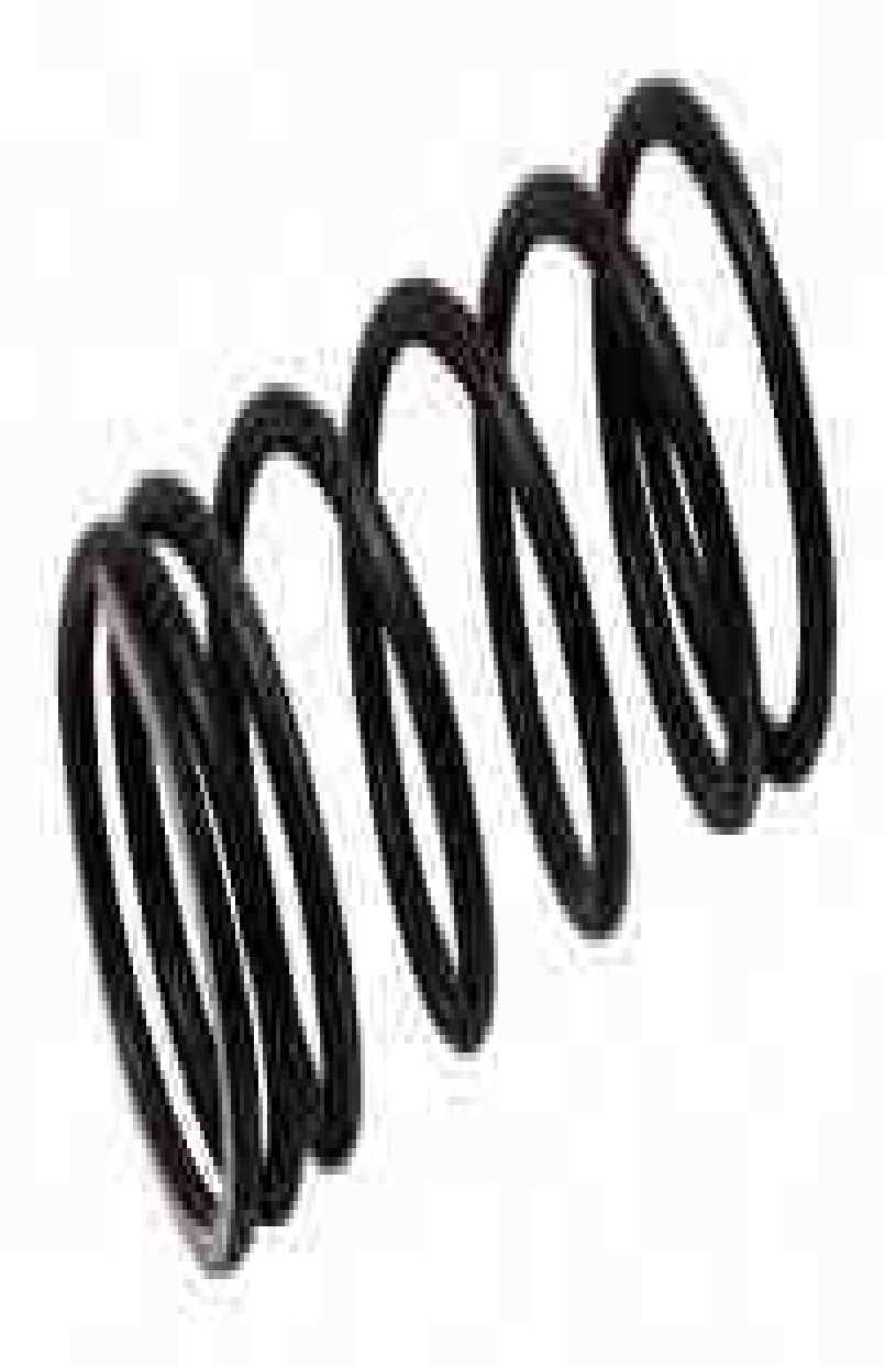 massey-ferguson-engine-valve-spring-exhaust