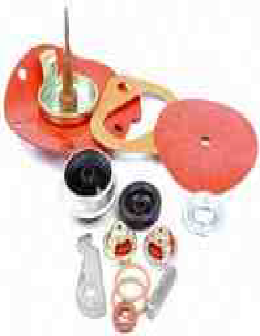 massey-ferguson-fuel-pump-repair-kit