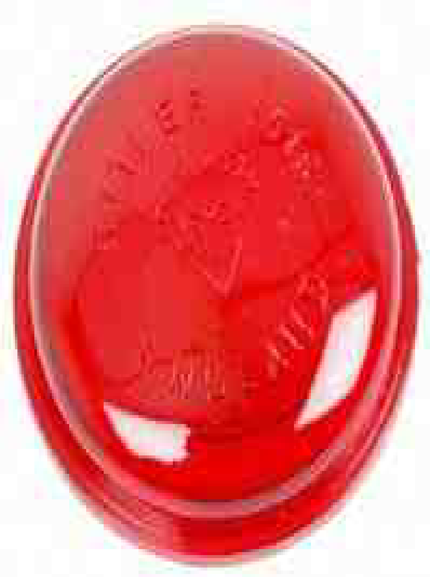 massey-ferguson-lens-red