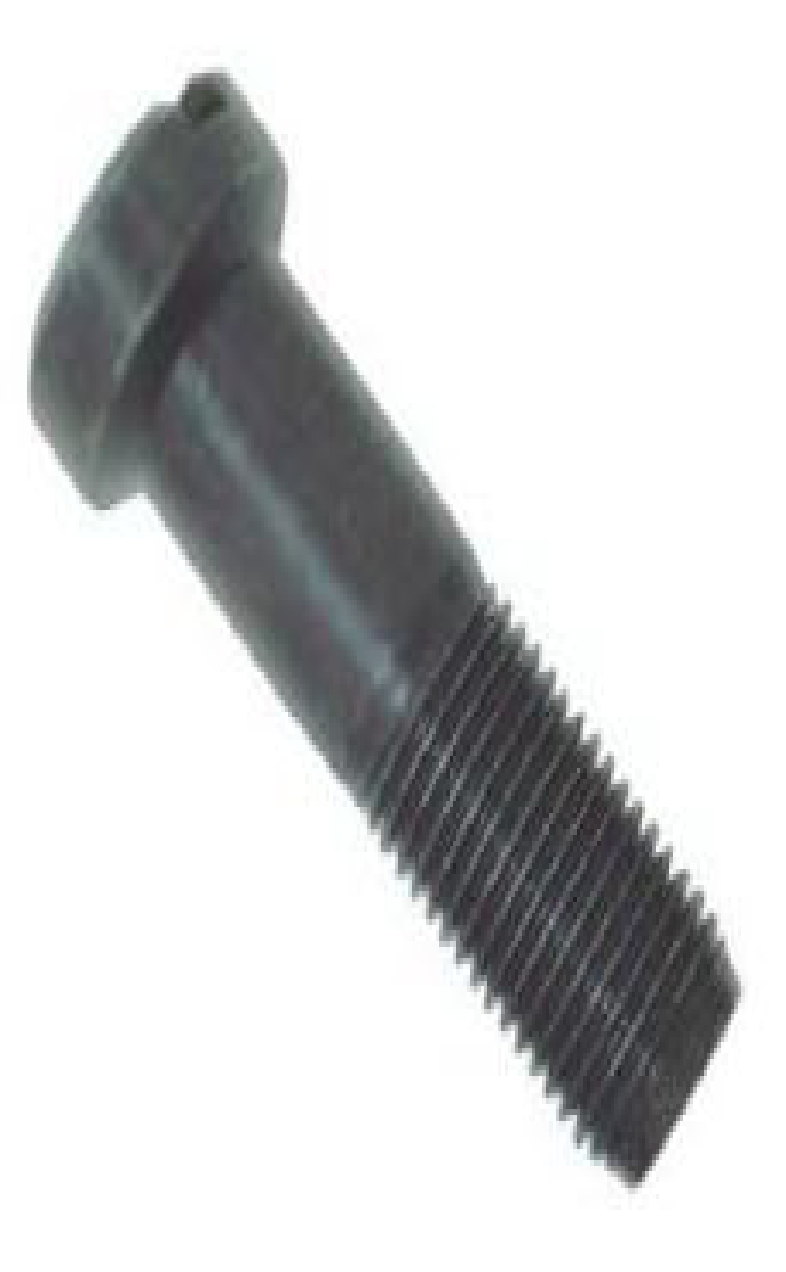 massey-ferguson-crown-wheel-bolt