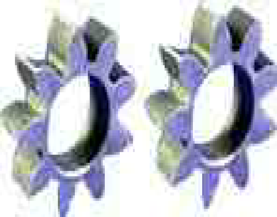 massey-ferguson-oil-pump-drive-gear-set-p4-p6-engine