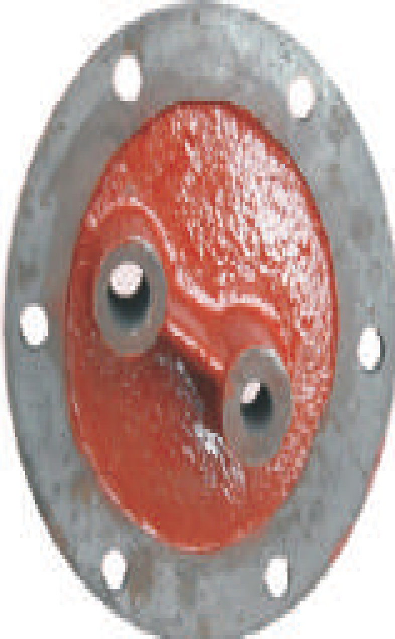 massey-ferguson-pto-cover